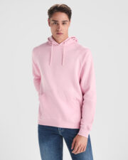 Sudadera capucha Vinson
