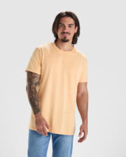 Camiseta Roly Corgi