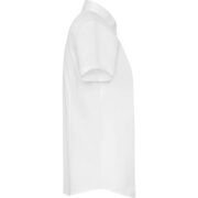 CAMISA ROLY SOFIA - Imagen 8