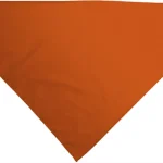naranja fiesta